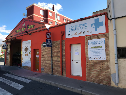 Consulta Vererinaria (MASCOTAS DAMA) Gallery - Spain