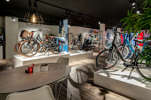 Stella Fietsen - Zwolle - Thumbnail