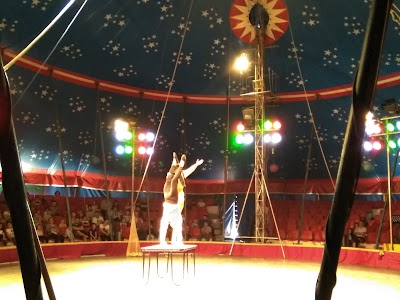 Cirku i Tiranës