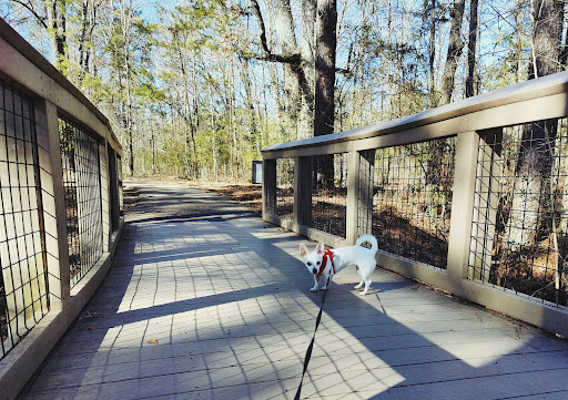 Flowood Nature Park Gallery - United States