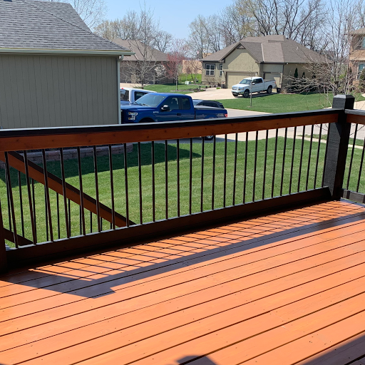 Wolverine Staining - Visual