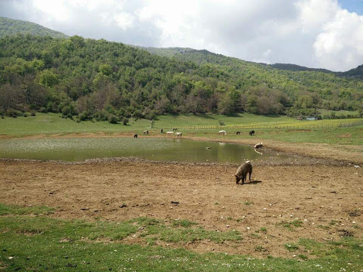 Segni - Thumbnail