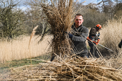 Whitwell Common - Visual