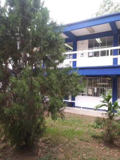 Cetis 108 - Visual