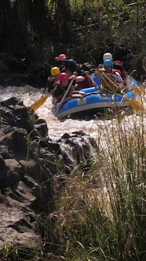 Savage Wilderness Whitewater Rafting Centre by null