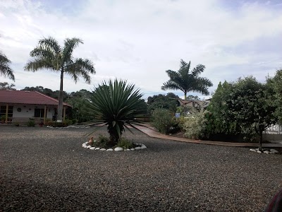 Photos of JUAN PAZ