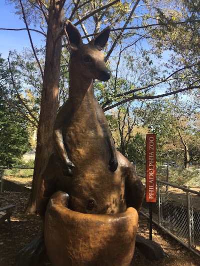 Kangaroo Habitat