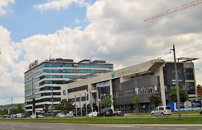 Transica beograd atraktivna Jovana Transica