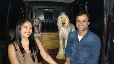 Photos of HVN Veterinary Hospital Niteroi