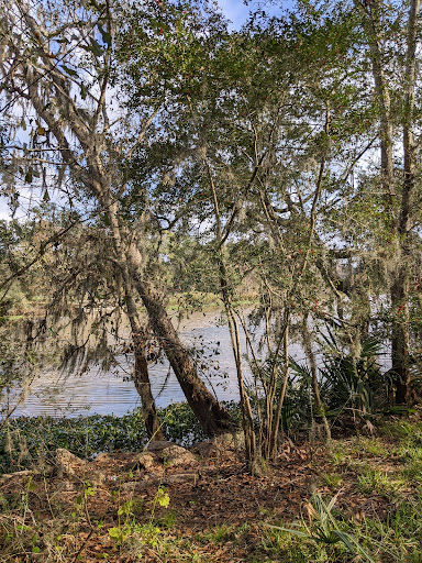 Wilderness Park - Visual