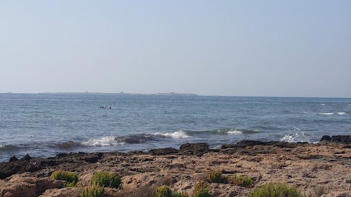 Platja per a gossos Santa Pola - Thumbnail