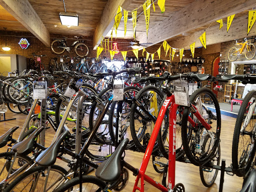 Village CycleSport - Thumbnail