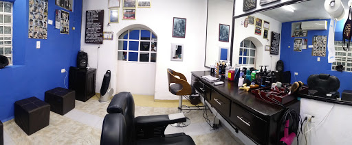 Barberia Robin's
