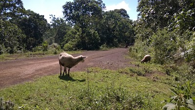 Photos of Kiganjo To Gacika
