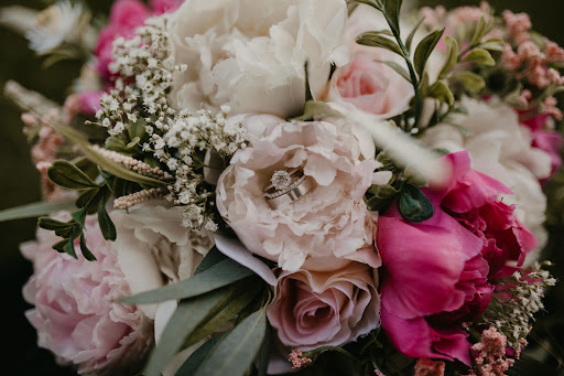 Denali Peonies - Visual