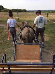 Photo n°12 de Les Écuries de Mazan à Mazan (Centre de randonnée équestre)