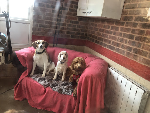 Juliannas Pet Accommodation