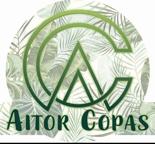 Aitor Copas - Visual