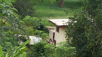 Photos of Holy Family Hospital