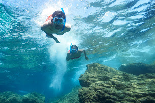 Photo n°11 de Destination BLEU à Six-Fours-les-Plages (Agence d'excursions en bateau)