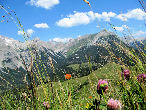 Naturpark Weißbach