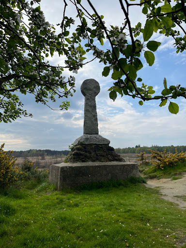 Chobham Common - Visual