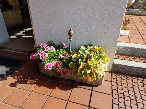 Forellen und Pilze Flohr - Thumbnail