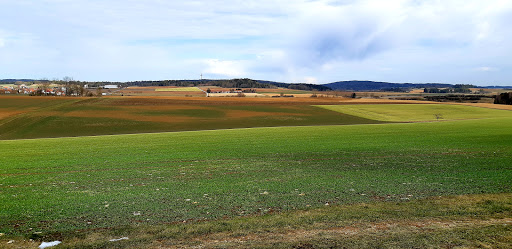 Der vergessene Pfad