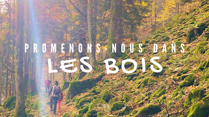 Photo n°14 de Menuiserie Ebénisterie RITZ à Breitenbach-Haut-Rhin (Service de pose de parquet)