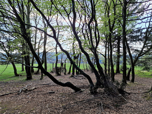 Kieferle - Visual