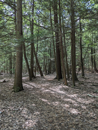 Round Lake Nature Preserve - Thumbnail