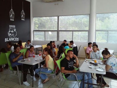 Photos of University of East CANCUN