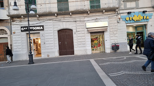Calzedonia Termoli