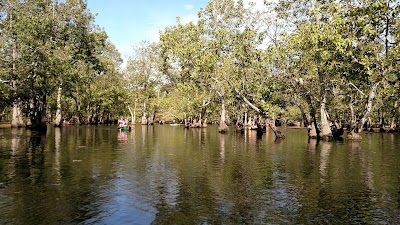 Chicot State Park