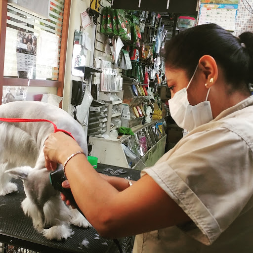 Clínica Veterinaria La Palma