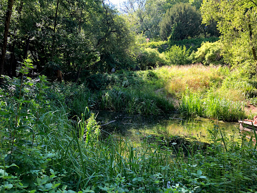 Pierre-Emmanuel naturel Garden