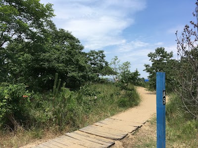 Cross Island Trail Trailhead