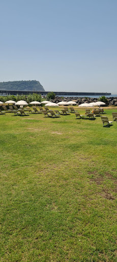 Flipper Park - Thumbnail