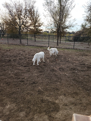Woodland Off Leash Dog Park - Thumbnail