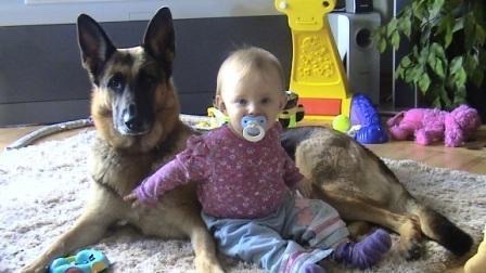 Woofpackpro.com - Visual