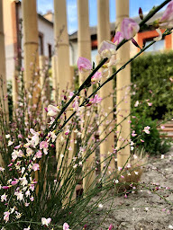 Photo n°20 de LA COTENTINE Maison d'Hôtes à Saint-Pair-sur-Mer (Maison d'hôtes)