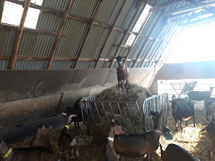 Photo n°23 de Chévrerie de la Cayonnière à Chassignieu (Ferme)