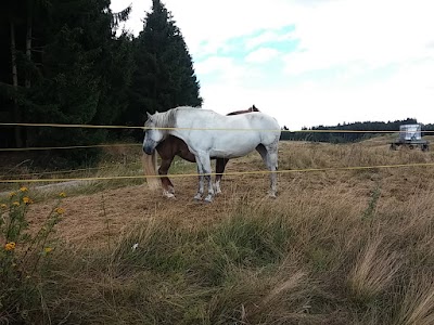 Photos of Ferienh&auml;user Hasselfelde/Harz Ferienhausvermittlung Mundorf