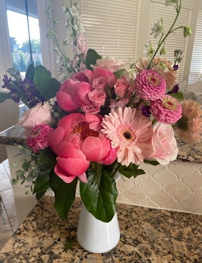 Fields & Flowers - Visual