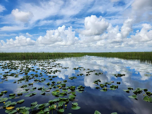 Marsh Landing Adventures / Orlando Airboat Tours Gallery - United States