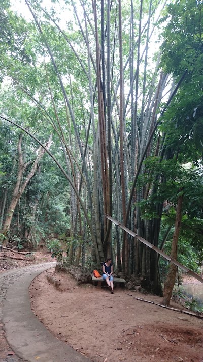 Photos of Forest Hermitage