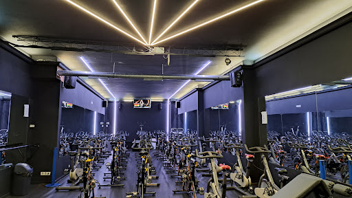 ABfitness Sculture Gallery - Spain