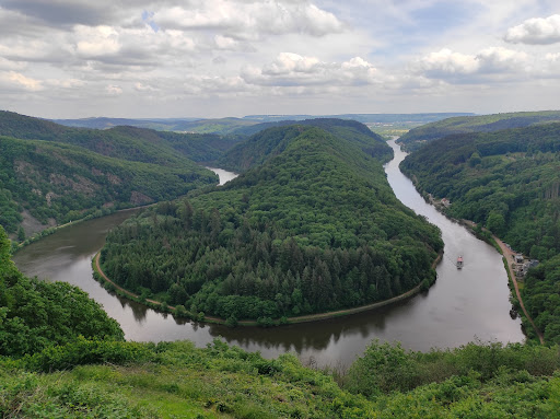 Saar-Steilhänge/Lutwinuswald