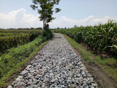 Photos of Petani Jamur Tiram