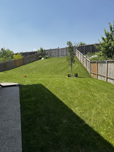 AM landscaping work photo 1